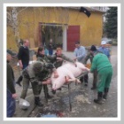 Carsk slavnosti 2011