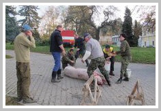 Carsk slavnosti 2013