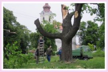 Katan u muzea